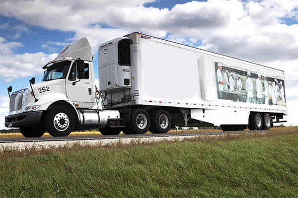 Cold Chain